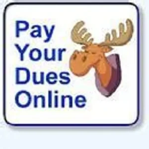 Pay Online Pay Online